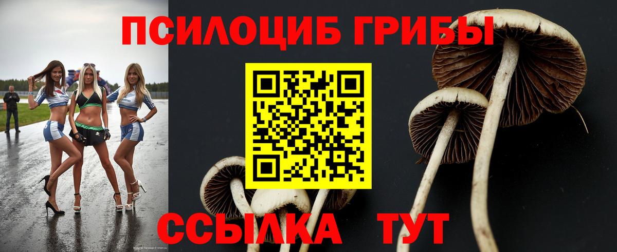 Псилоцибиновые грибы ЛСД  Вход с VPN  Медногорск  Галлюциногенные грибы Cubensis 