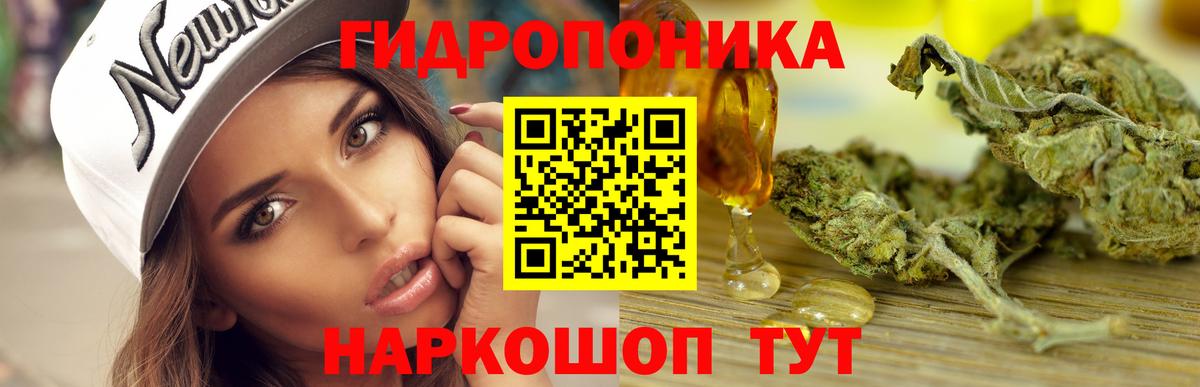 Каннабис семена  Каннабис сатива  Медногорск  Вход с VPN 